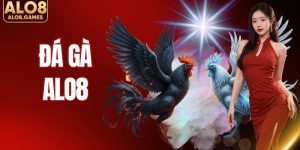Đá Gà ALO8 - Sảnh Chọi Kê Chất Lượng Top #1 Châu Á