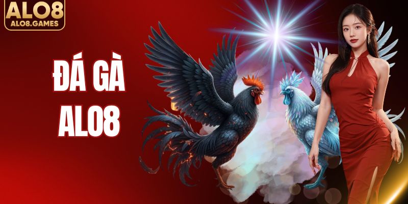 Đá Gà ALO8 - Sảnh Chọi Kê Chất Lượng Top #1 Châu Á