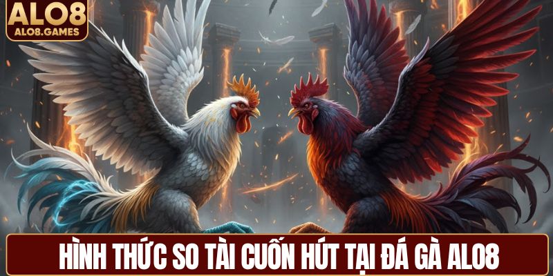 Hình thức so tài cuốn hút tại đá gà ALO8