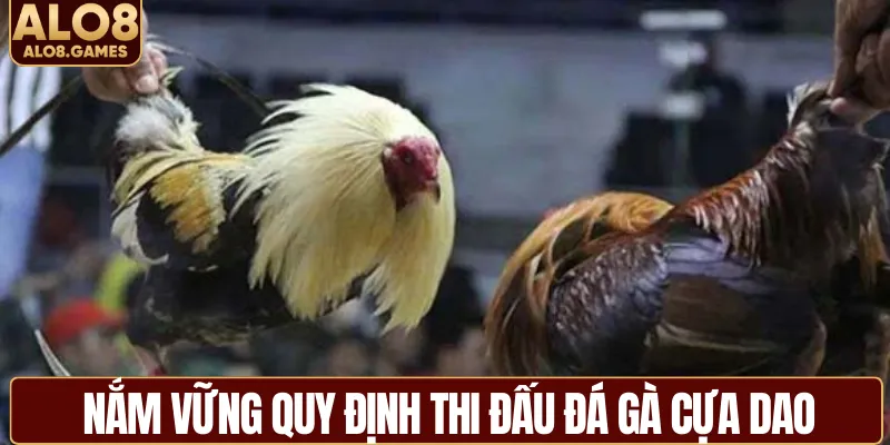 Nắm vững quy định thi đấu đá gà cựa dao