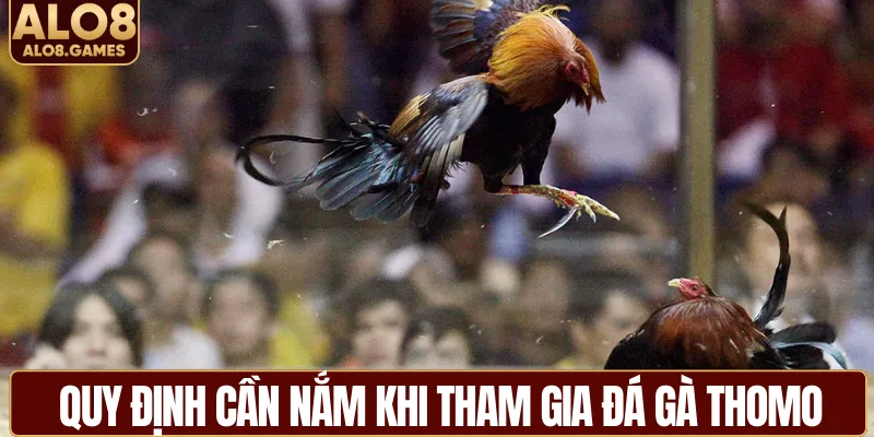 Quy định cần nắm khi tham gia đá gà Thomo