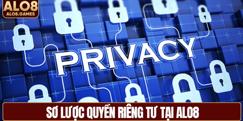 Sơ lược quyền riêng tư tại ALO8