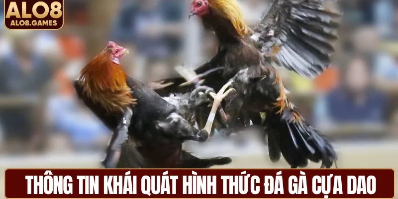 Thông tin khái quát hình thức đá gà cựa dao